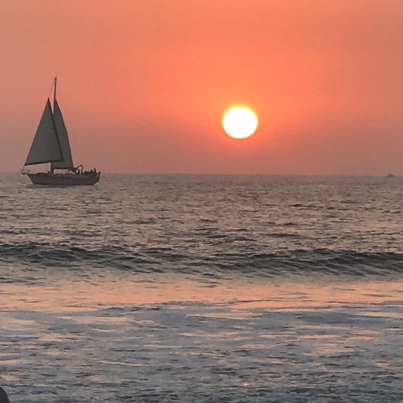 Meet your Posher, Jacqueline - Picture 1 of 1